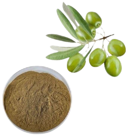 Olive leaf extract ingredient image